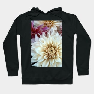 Connection #3 - Modern Botanical Photograph Hoodie